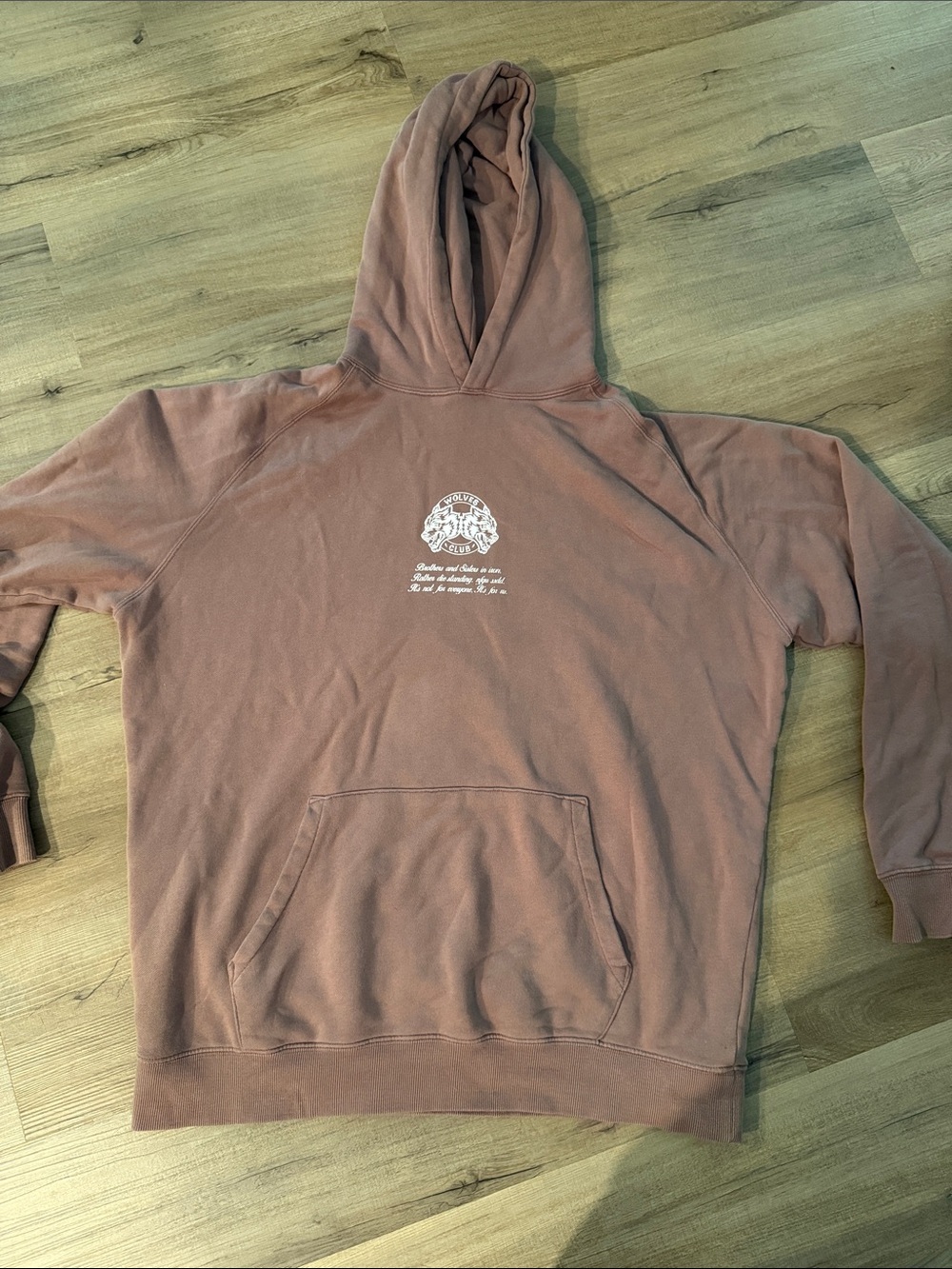 Darc Sport Raglan Hoodie in Mauve